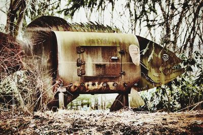 Old abandoned truck on field in forest