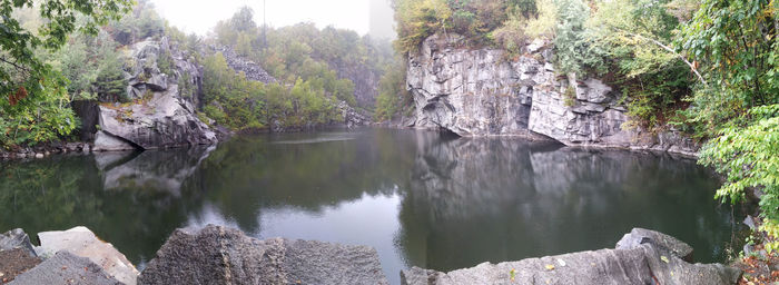 Scenic view of lake in forest