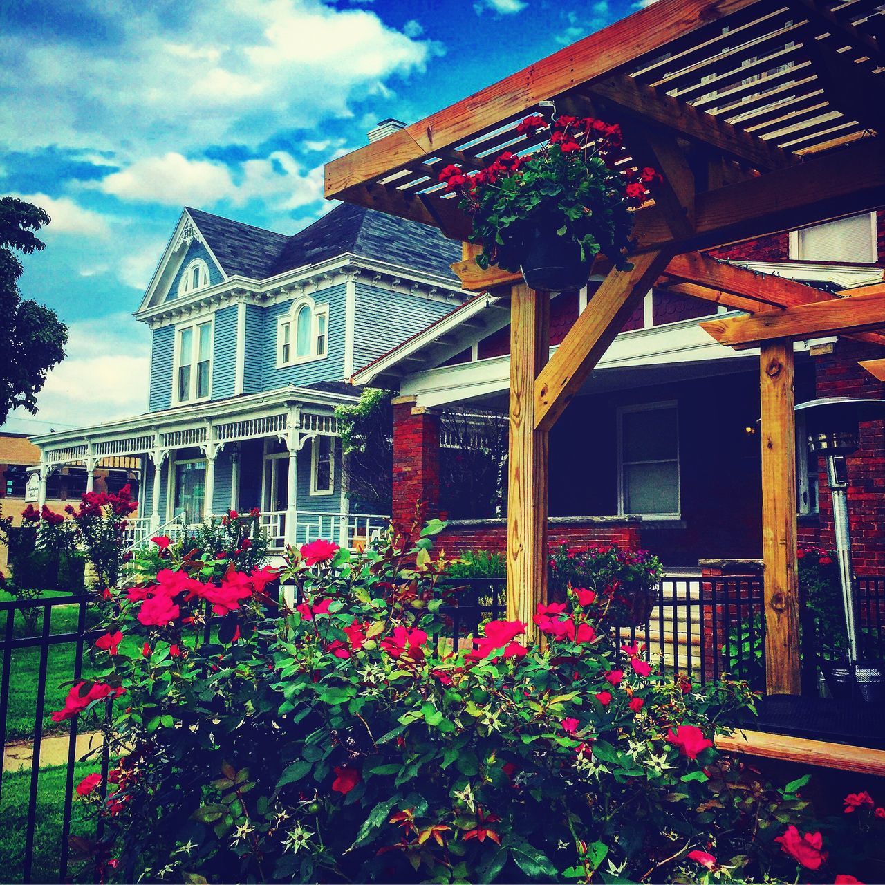 flower, architecture, built structure, building exterior, plant, growth, freshness, sky, house, fragility, blooming, low angle view, nature, window, tree, in bloom, potted plant, day, outdoors, residential structure