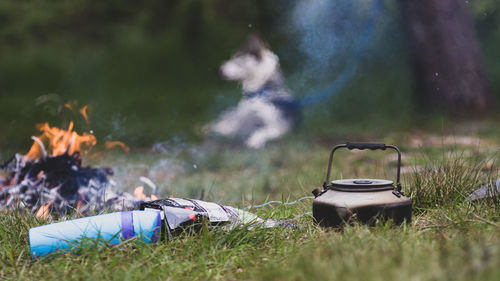 Teapot by campfire on grassy land