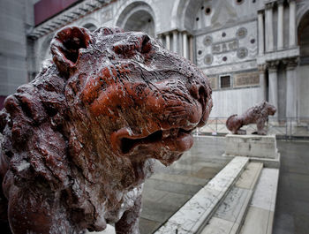 Close-up of old lion statue at piazza san marco