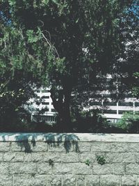 Built structure with trees in background