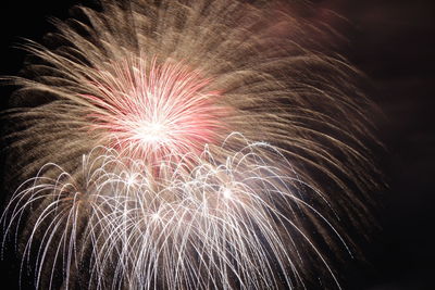 Low angle view of firework display at night