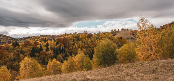 Beautiful autumn landscapes in the romanian mountains, fantanele village area, sibiu county, romania