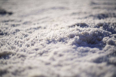 Close-up of snow on land