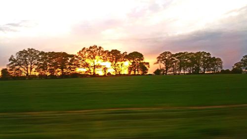 Scenic view of field against sky during sunset