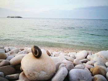 Close-up of pebbles on beach against sky