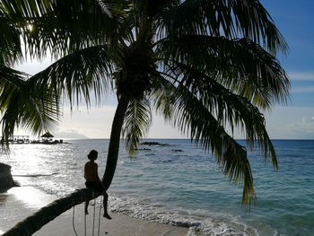 Rear view of man sitting on beach