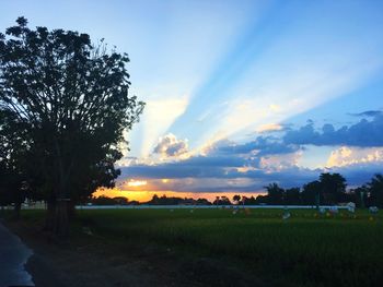 Scenic view of field against sky during sunset