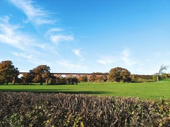 Scenic view of field against sky