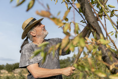 Portrait of a male farmer harvesting almonds by hand.
