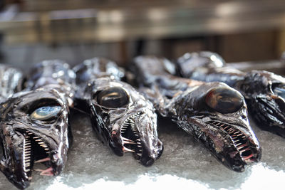 seafood