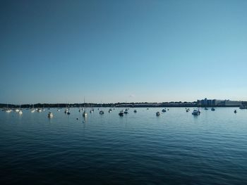 View of sailboats in harbour against blue sky