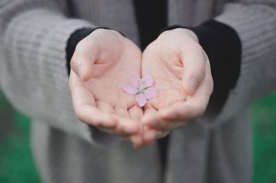 Close-up of hand holding flower