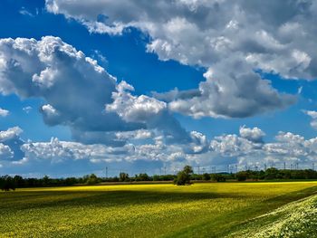 Scenic view of field against sky