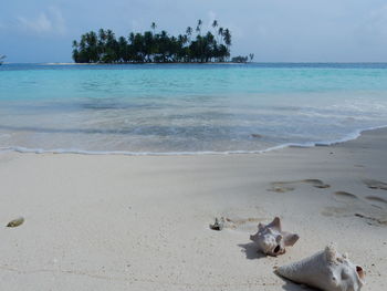 Scenic view of beach against sky