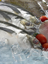 High angle view of fish on crushed ice