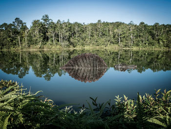 Reflection of trees in lake against sky