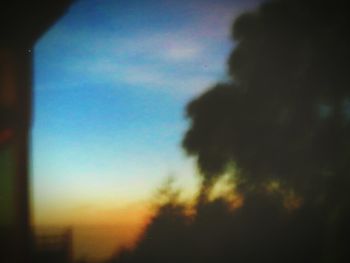 Silhouette of tree against blue sky