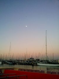 Sailboats moored at harbor against clear sky