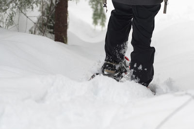 Low section of person skiing on snowcapped mountain