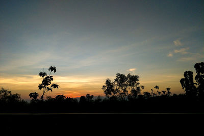 Silhouette trees on field against sky at sunset