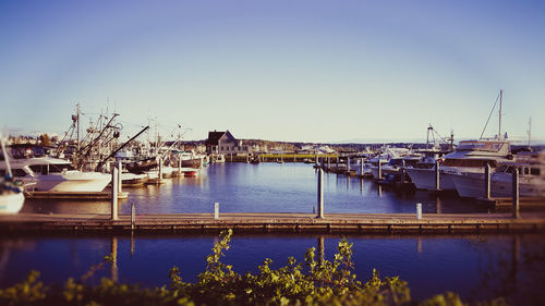 Boats moored at harbor against clear sky