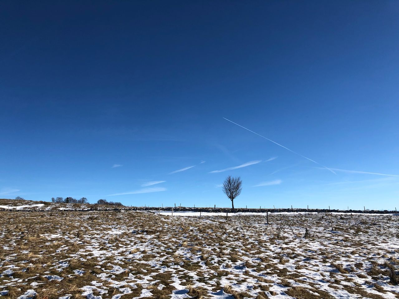 sky, blue, environment, landscape, scenics - nature, tranquil scene, copy space, beauty in nature, nature, tranquility, clear sky, land, non-urban scene, no people, day, vapor trail, remote, field, idyllic, outdoors, arid climate, surface level, climate