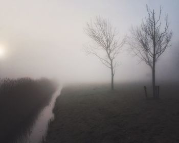 Bare trees in foggy weather against sky during winter