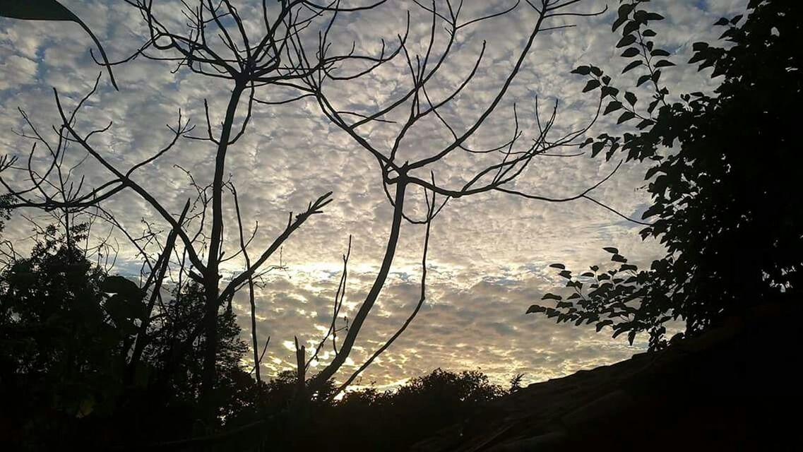 silhouette, sky, tree, cloud - sky, tranquility, sunset, beauty in nature, nature, scenics, branch, tranquil scene, dusk, bare tree, cloudy, low angle view, weather, water, cloud, growth, no people