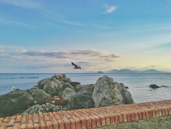 Birds on beach against sky