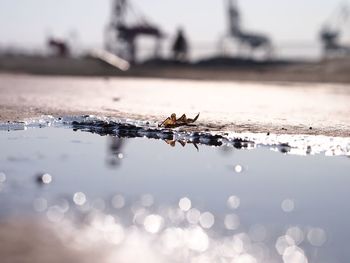 Surface level of sea against sky in city