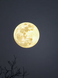 Low angle view of moon against sky at night