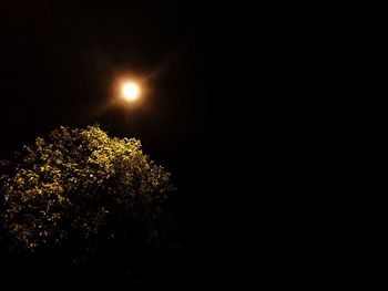 Low angle view of illuminated tree against sky at night