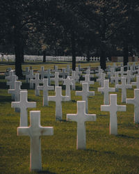 Row of cemetery against trees