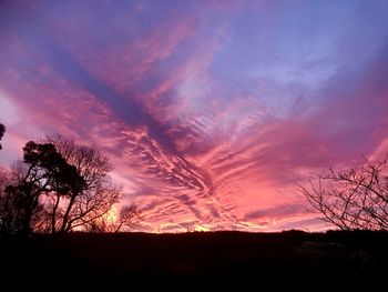 Silhouette trees against dramatic sky during sunset