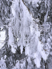 High angle view of snow covered landscape