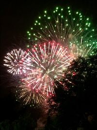 Low angle view of firework display at night