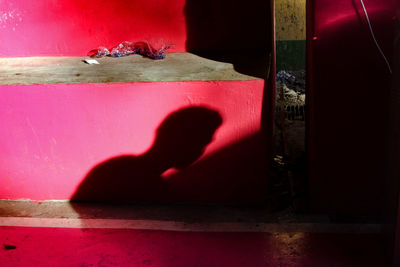 Woman with pink petals on wall