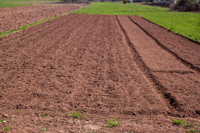 Nice and sunny day of spring sowing, plowed fields, preparation for planting vegetables