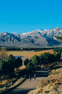 Men standing on road amidst trees against mountains during winter