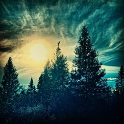 Low angle view of trees against cloudy sky