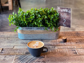 High angle view of coffee on table with plant