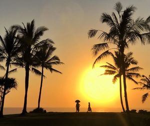 Silhouette palm trees at beach against sky during sunset