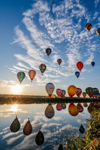 Low angle view of hot air balloons against sky