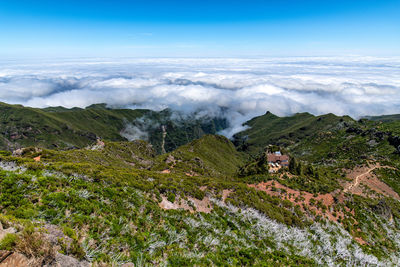 High angle view of trees on landscape against sky