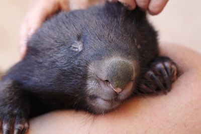 Close-up of person holding hand
