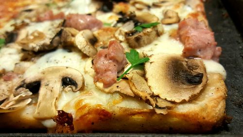 Close-up of mushrooms