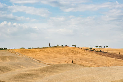 Scenic view of cultivated farm landscape against sky