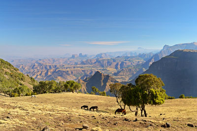 Scenic view of landscape and mountains against sky